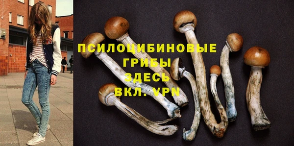 мескалин Ладушкин