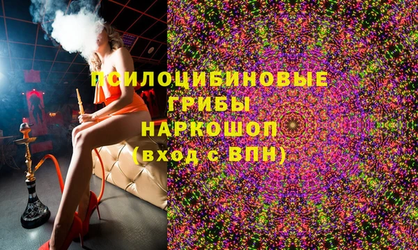 Альфа ПВП Лабытнанги